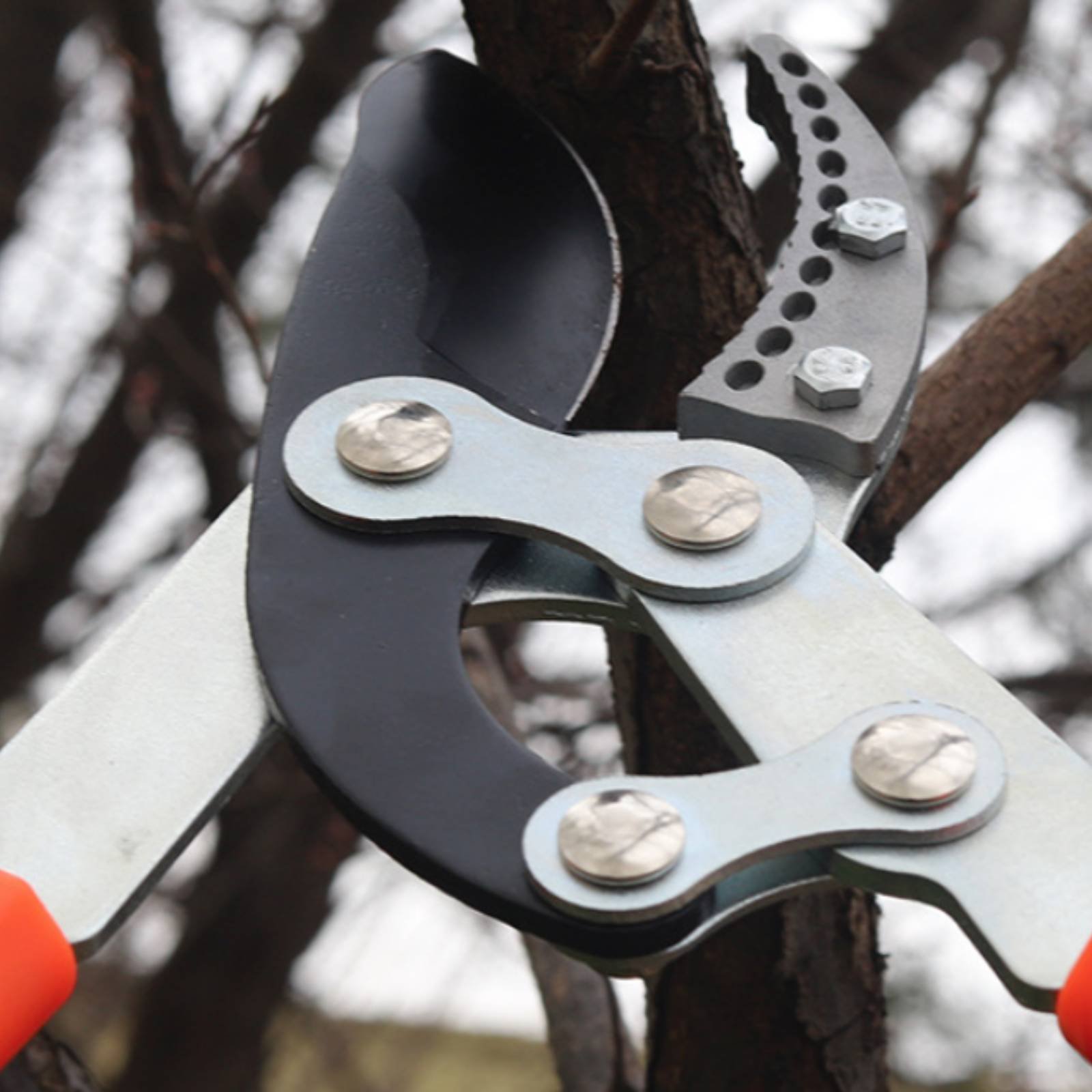 Garden Tools - Teleskopische Astschere mit Scharfer Klinge, Robuste