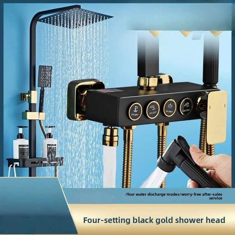 Schwarzgoldenes Edelstahl-Dusc – Plumbing Bewertung und Preis
